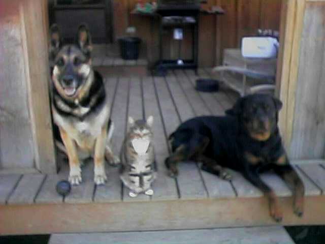 Now everyone SMILE