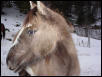 Ukah head shot