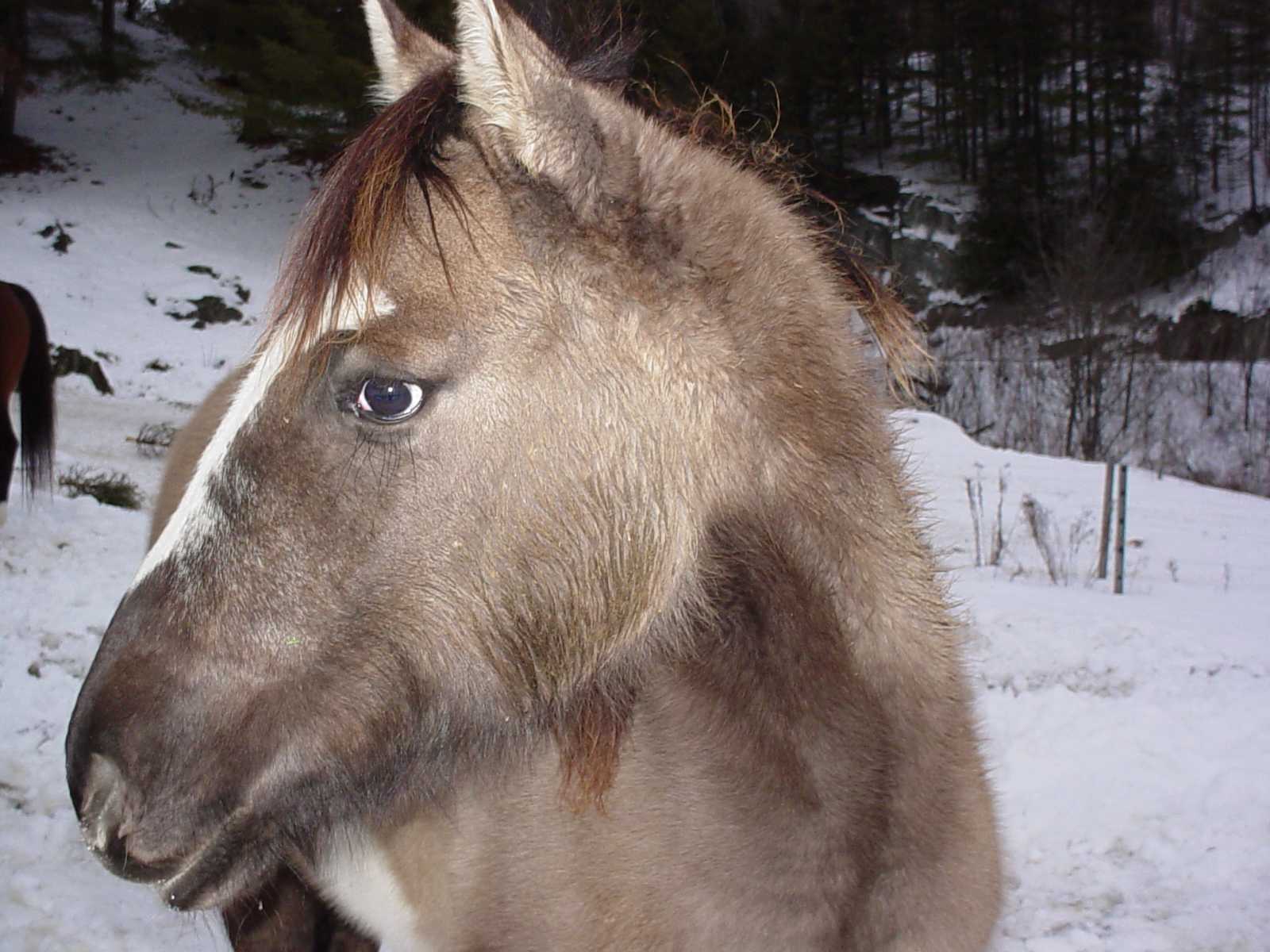 Ukah head shot