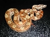 hypo motley 10-20-2
