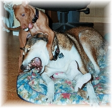 Attack1