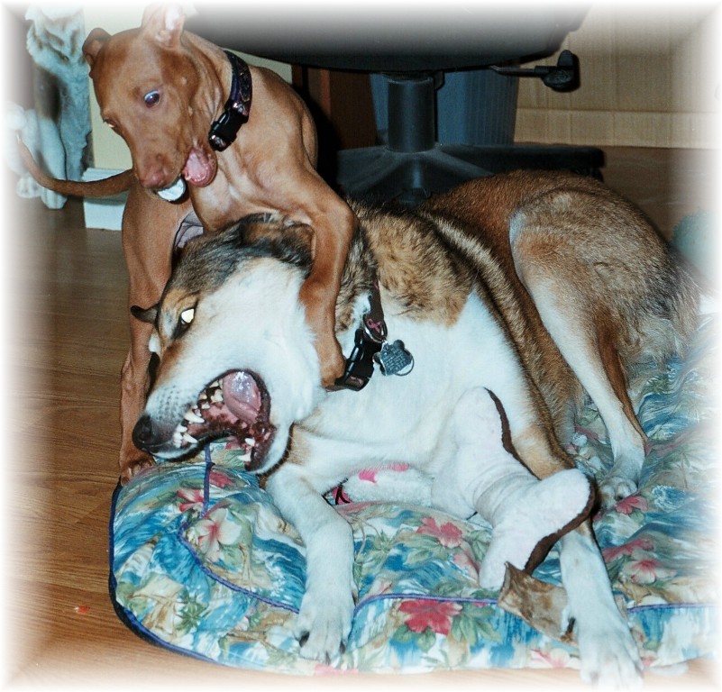 Attack1