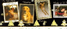 Christmas Card 2008