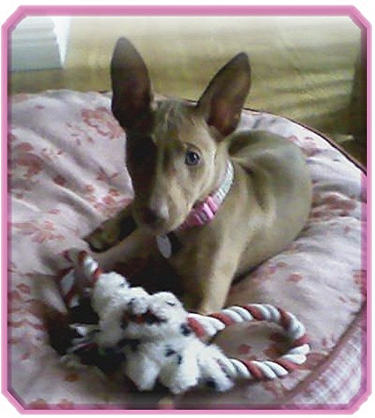 Miss Tally