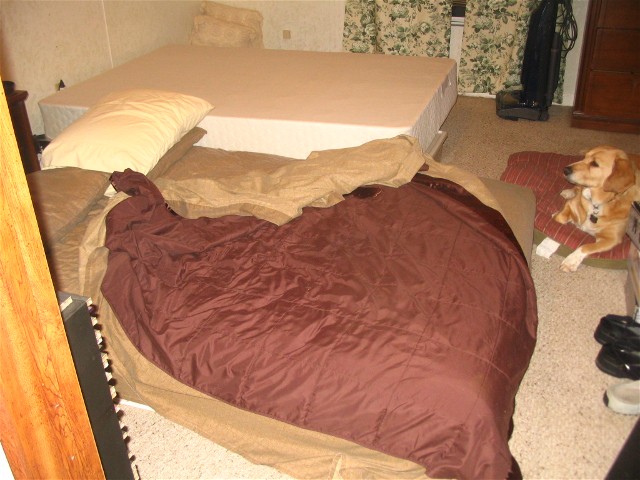 New Sleeping arrangement for us
