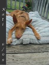 Kati 6/09