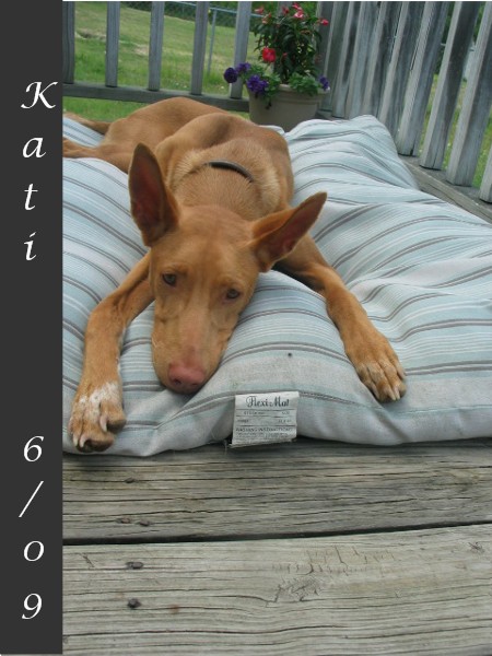 Kati 6/09