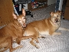 K.Tee and Vita