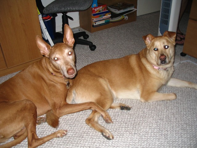 K.Tee and Vita