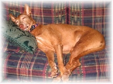 Sleeping After a Bath -