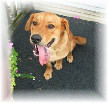 Duke