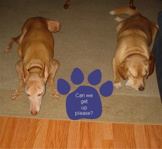 Can we get up now?