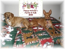 Happy Holidays 2008