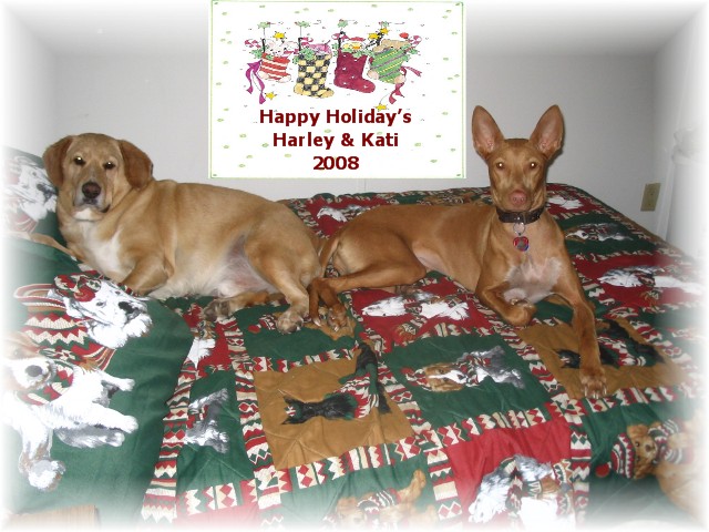 Happy Holidays 2008