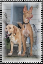 Kati & Harley