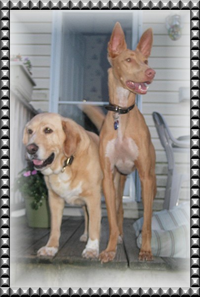 Kati & Harley