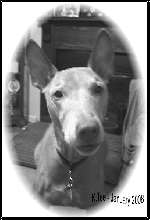 Jan 20 2008 - Black & White
