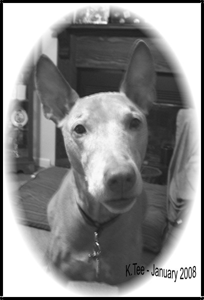 Jan 20 2008 - Black & White