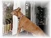K.Tee and the UPS man