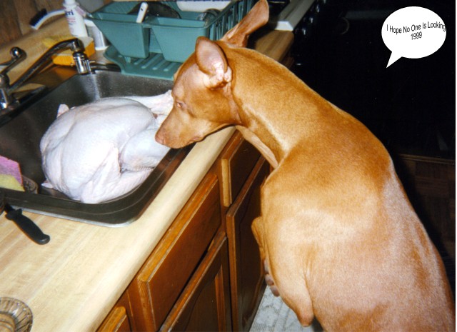 Thanksgiving 1997