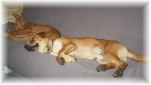 Kati & Duke a