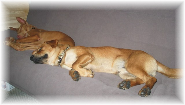 Kati & Duke a