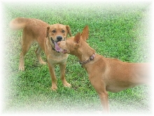 Kati and Duke