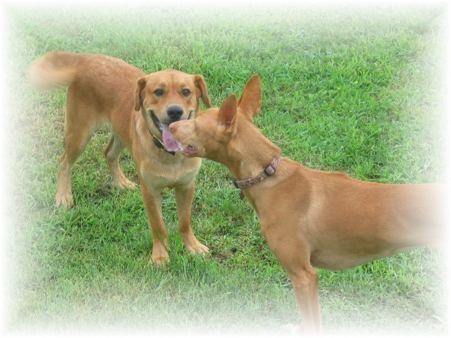 Kati and Duke