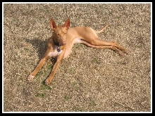 Sunbathing - Kati 1