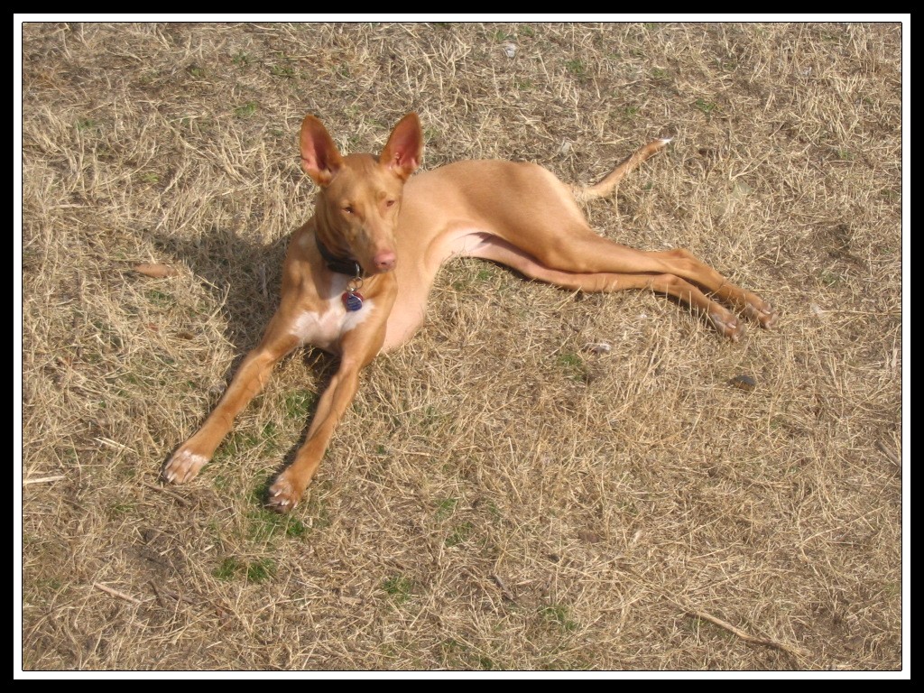 Sunbathing - Kati 1