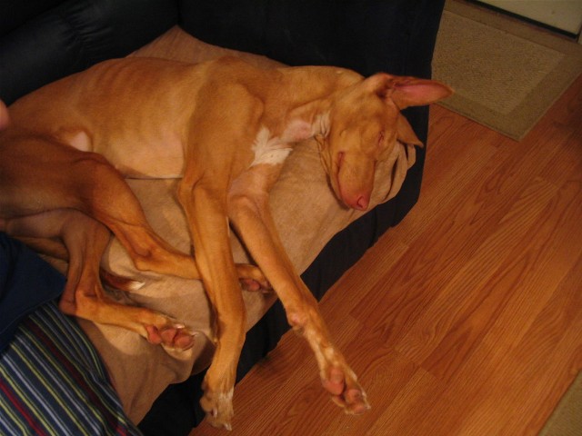 So Tired