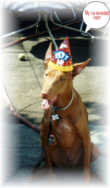 Tee's 1st B'Day