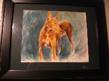Tee's Water Color Drawing