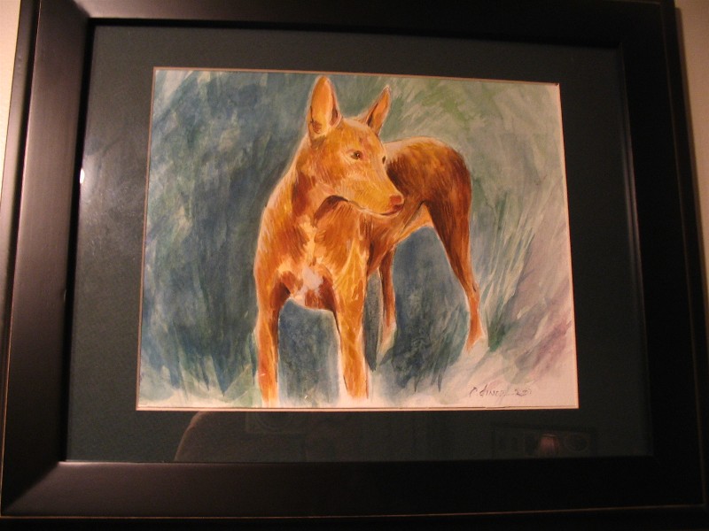 Tee's Water Color Drawing
