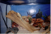 Ed in Tank