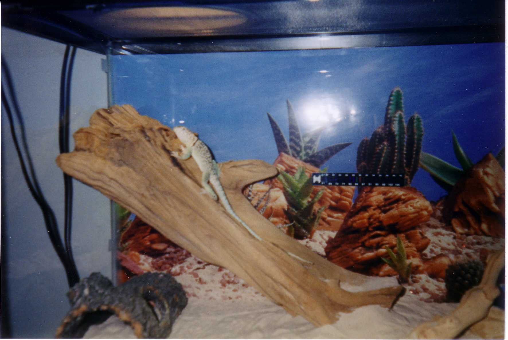 Ed in Tank