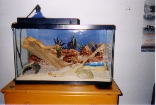 Eds Tank