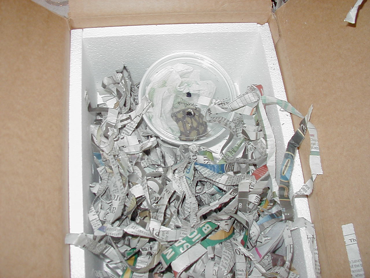how baby was packed