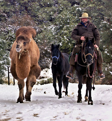 Ride in the snow