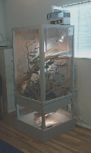 Timor Monitor Cage