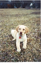 Our Beautiful Baylee