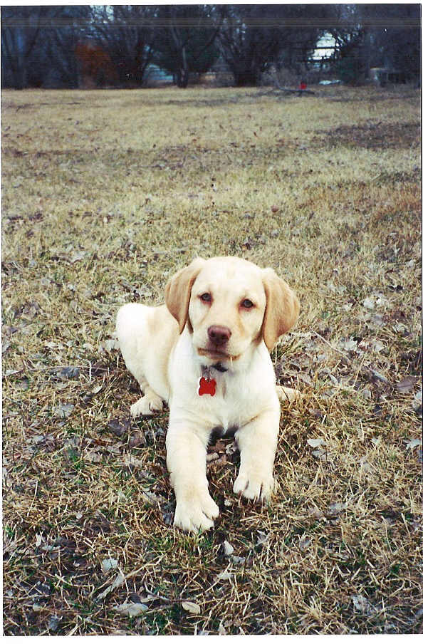 Our Beautiful Baylee
