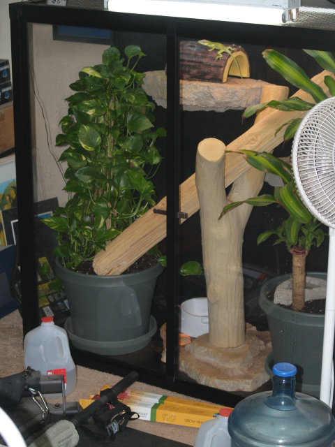 Knight Anole Cage