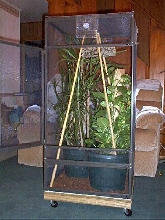 New Screen Cage Set-up