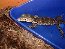 New Baby Water