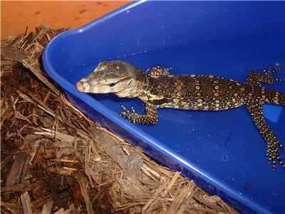 New Baby Water