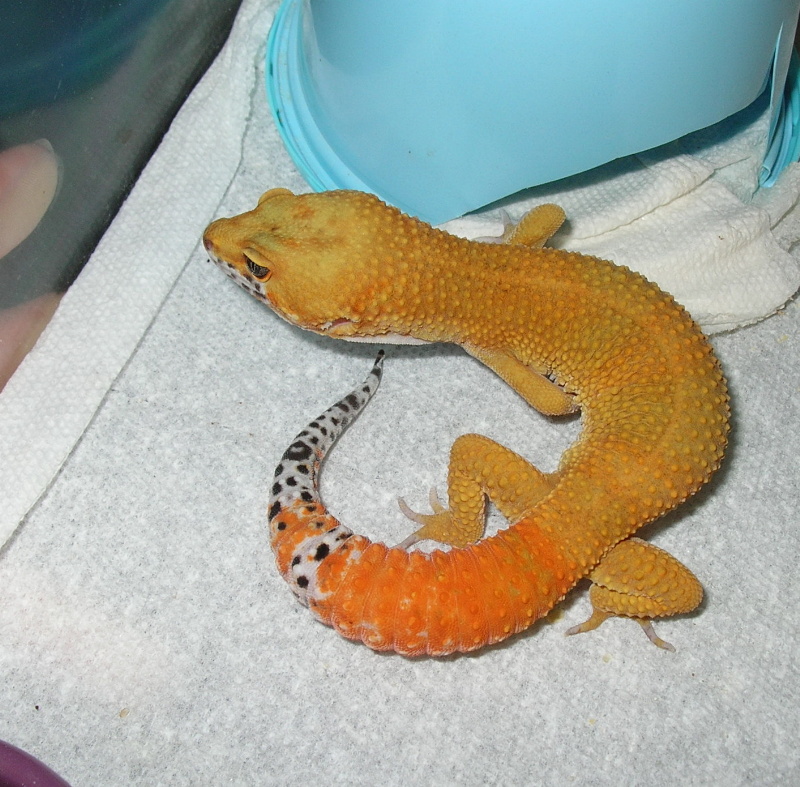 05 male 2