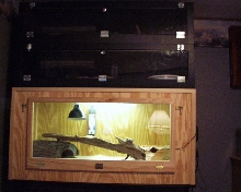 My custom snake cage.