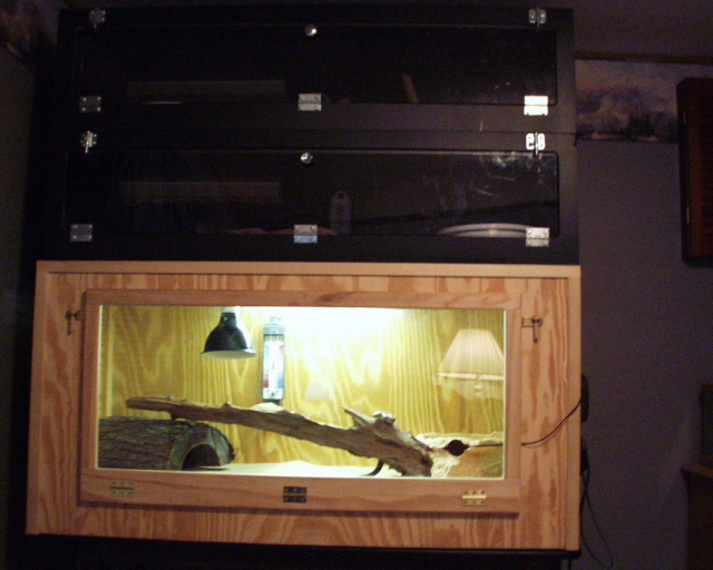 My custom snake cage.
