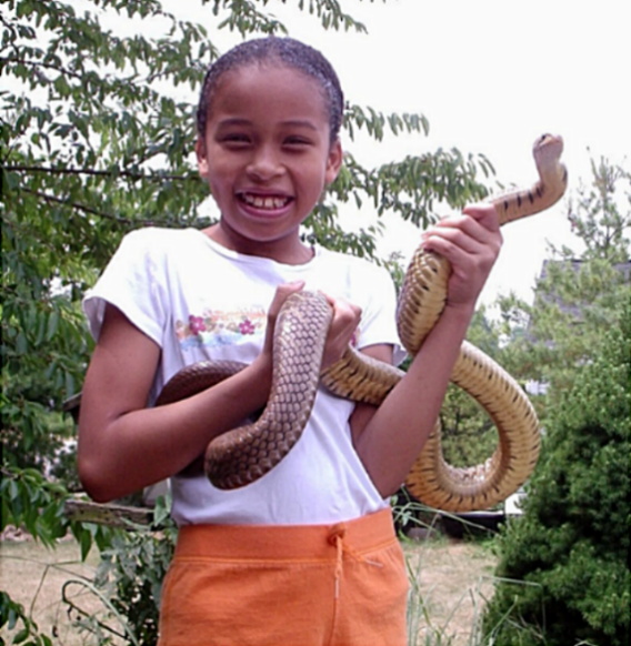 Adult black tail cribo